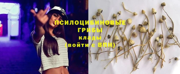 мдпв Магас