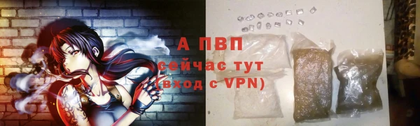 шишки Магадан