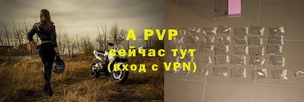 Альфа ПВП Майский