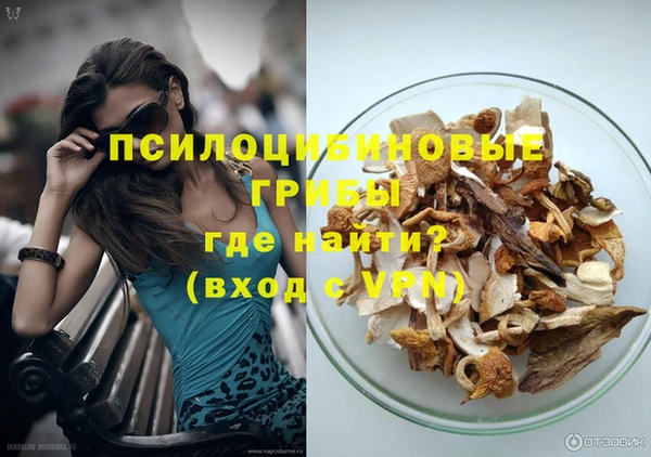 шишки Магадан