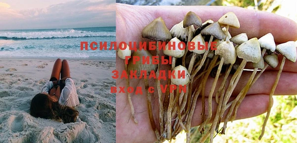 Альфа ПВП Майский