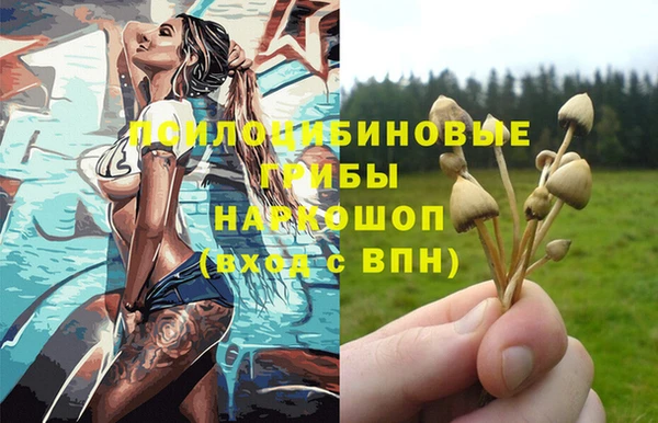 мдпв Магас