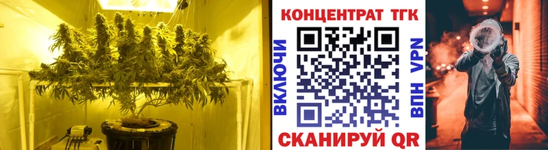 ТГК Wax  Ноябрьск 