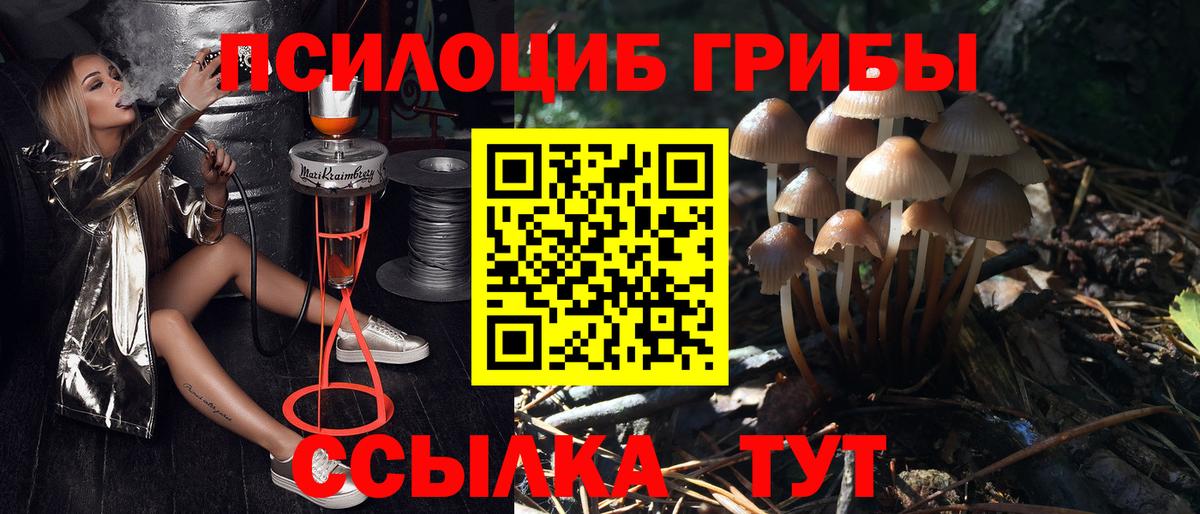 Галлюциногенные грибы прущие грибы Ноябрьск
